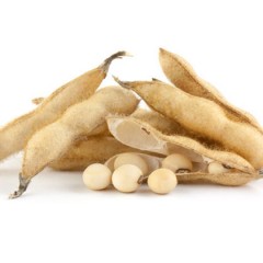 Soy Protein Review: The Pros And Cons Of Soy